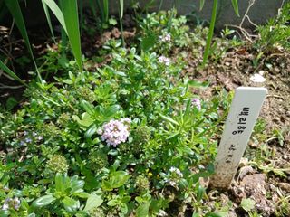 금동이네님의 자유주제 · 자유게시판 작성글 사진