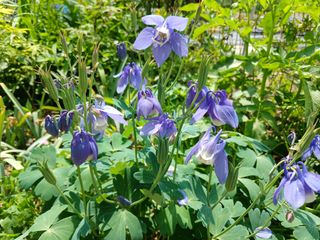 금동이네님의 자유주제 · 자유게시판 작성글 사진