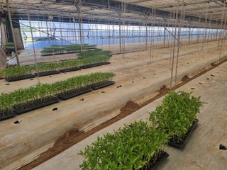 이종선회원님의 자유주제 · 자유게시판 작성글 사진