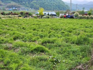 이창신님의 자유주제 · 자유게시판 작성글 사진
