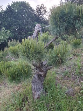 알 수 없음님의 자유주제 · 사진전 작성글 사진