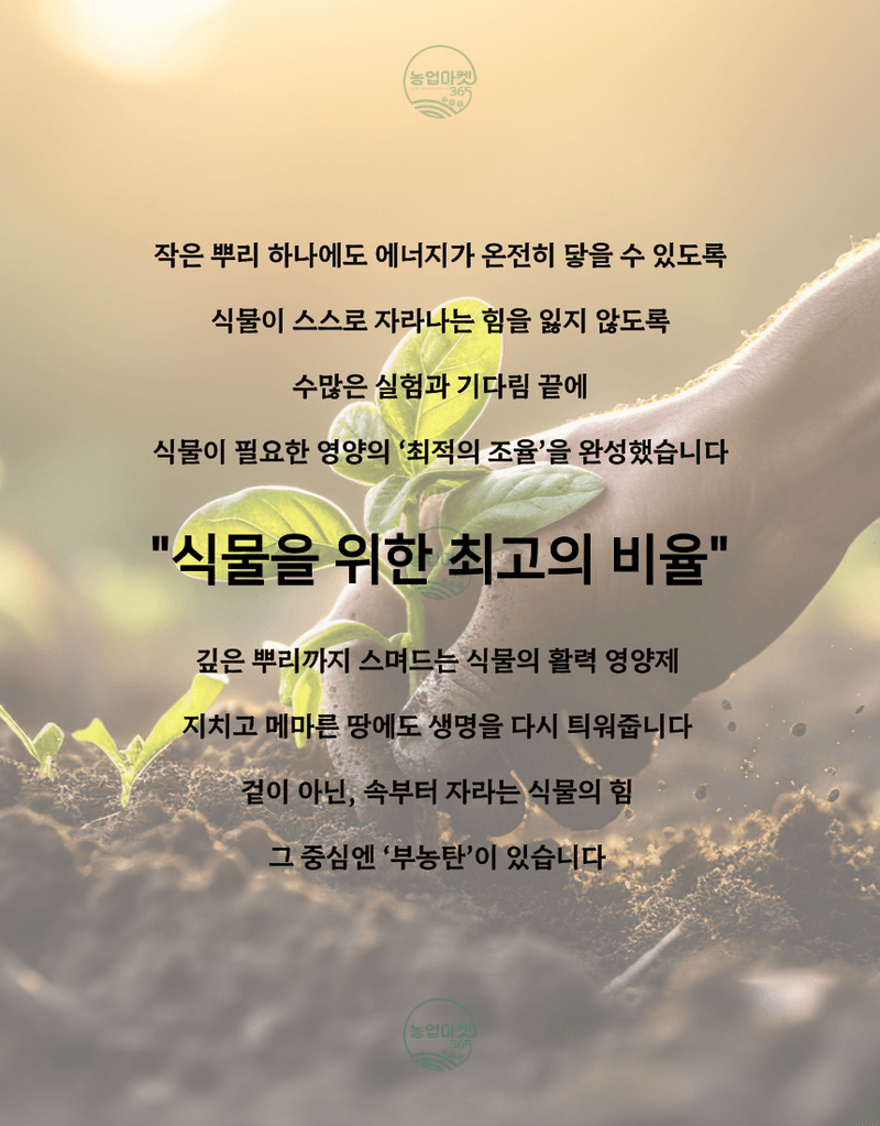농업마켓365님의 장터 판매 상품 [농업마켓365 융전 부농탄 액제 500ml 도장억제제 웃자람경감제 착색 당도 비대 밑거름 웃거름 기비 추비 사과] 첨부 사진