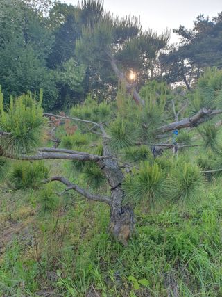 알 수 없음님의 자유주제 · 사진전 작성글 사진