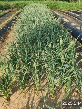 정석범님의 자유주제 · 자유게시판 작성글 사진