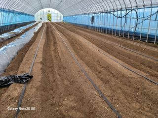 화양청정계곡농장님의 자유주제 · 자유게시판 작성글 사진