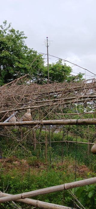 우철님의 자유주제 · 자유게시판 작성글 사진
