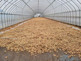 주인성님의 자유주제 · 자유게시판 작성글 사진