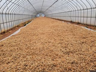 주인성님의 자유주제 · 자유게시판 작성글 사진