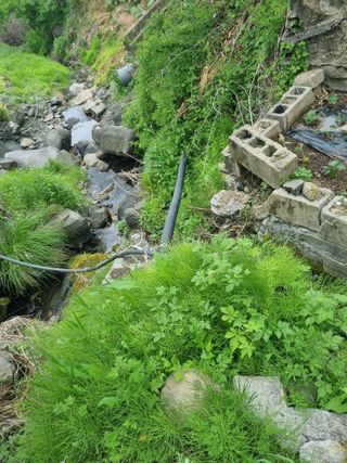 김용대님의 자유주제 · 자유게시판 작성글 사진