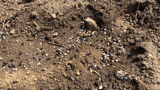 누보농장님의 자유주제 · 자유게시판 작성글 사진