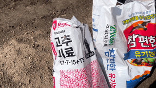 누보농장님의 자유주제 · 자유게시판 작성글 사진