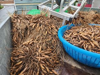 이창신님의 자유주제 · 자유게시판 작성글 사진