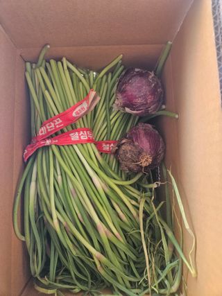 이재관(황토속애)님의 작성글 사진