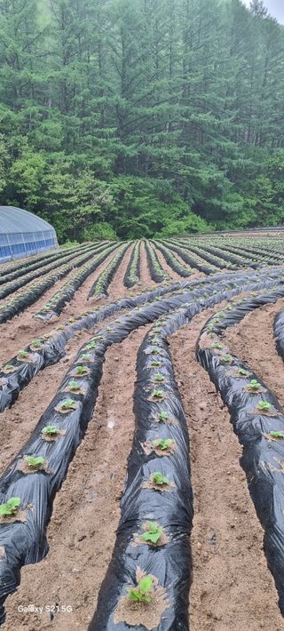 최영호님의 자유주제 · 자유게시판 작성글 사진