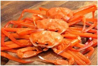 농수사님의 자유주제 · 자유게시판 작성글 사진