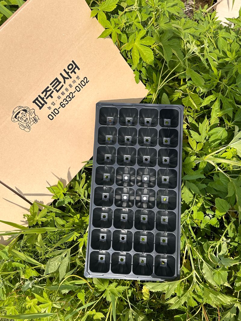 장터 상품 [모종판 32구 트레이 우체국 오늘출발] 썸네일