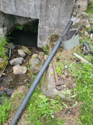 김용대님의 자유주제 · 자유게시판 작성글 사진