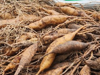 이창신님의 자유주제 · 자유게시판 작성글 사진