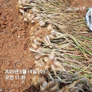 민들레님의 작성글 사진