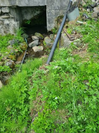 김용대님의 자유주제 · 자유게시판 작성글 사진