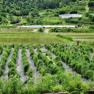 이창신님의 자유주제 · 자유게시판 작성글 사진