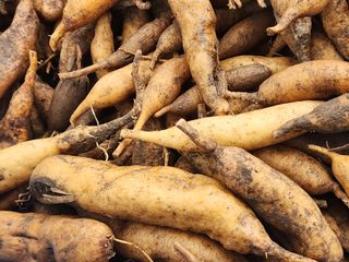 이창신님의 자유주제 · 자유게시판 작성글 사진