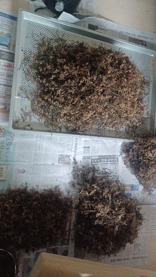 박흥구님의 작성글 사진