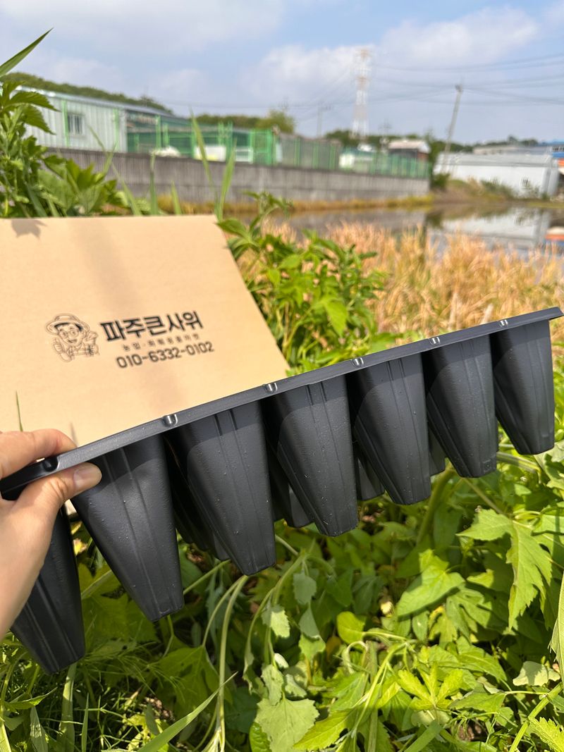 장터 상품 [길쭉한 32구 모종판 우체국 오늘출발] 썸네일