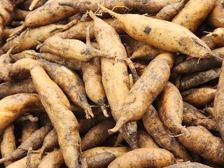 이창신님의 자유주제 · 자유게시판 작성글 사진