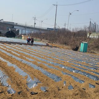 박재석님의 팜모닝 토론방 · 주제제안 작성글 사진