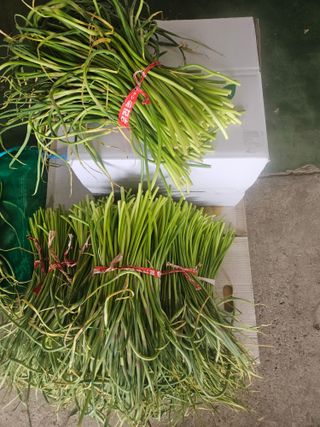 이재관(황토속애)님의 작성글 사진