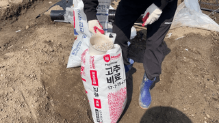 누보농장님의 자유주제 · 자유게시판 작성글 사진