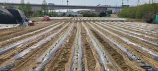 박재석님의 팜모닝 토론방 · 주제제안 작성글 사진