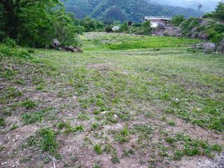 내땅님의 자유주제 · 자유게시판 작성글 사진