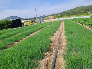 성실한 농부님의 자유주제 · 자유게시판 작성글 사진