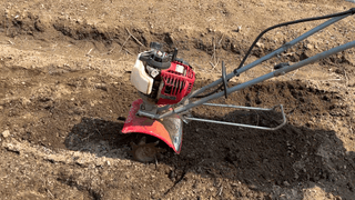 누보농장님의 자유주제 · 자유게시판 작성글 사진