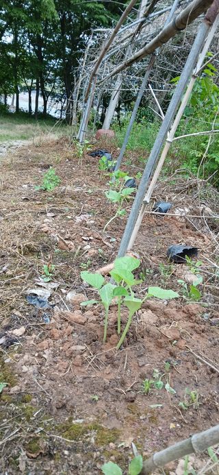 우철님의 자유주제 · 자유게시판 작성글 사진
