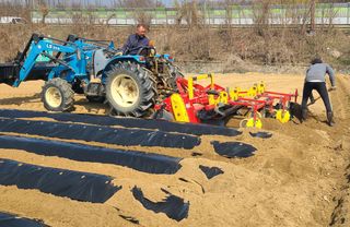 박재석님의 팜모닝 토론방 · 주제제안 작성글 사진