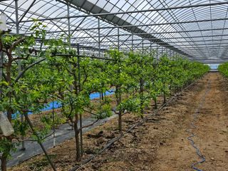 대추 9544님의 자유주제 · 자유게시판 작성글 사진