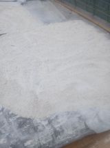 팜모닝 · 게시글 이미지