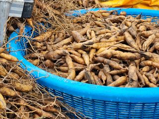 이창신님의 자유주제 · 자유게시판 작성글 사진