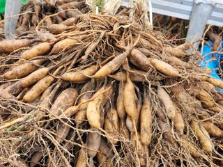 이창신님의 자유주제 · 자유게시판 작성글 사진