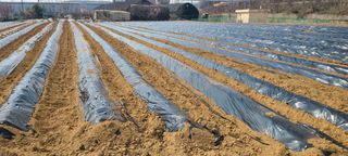 박재석님의 팜모닝 토론방 · 주제제안 작성글 사진