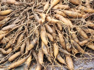 이창신님의 자유주제 · 자유게시판 작성글 사진