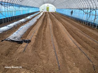 화양청정계곡농장님의 자유주제 · 자유게시판 작성글 사진