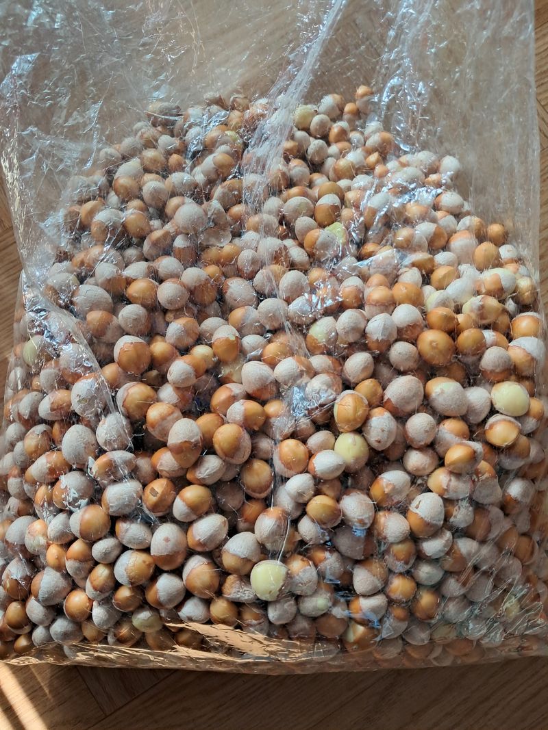 장터 상품 [깐 은행 알 1kg] 썸네일