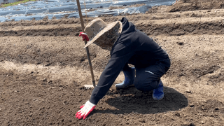 누보농장님의 자유주제 · 자유게시판 작성글 사진