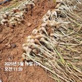 팜모닝 · 게시글 이미지