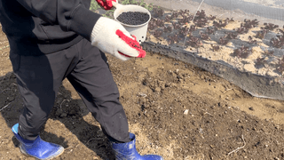 누보농장님의 자유주제 · 자유게시판 작성글 사진