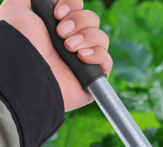 다이쏘(권자영)님의 작성글 사진